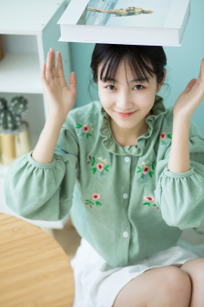 电视剧瑶山飞狐